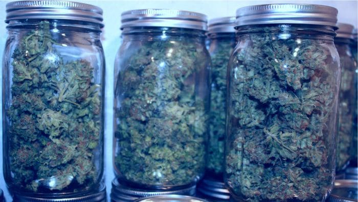 Never Keep Your Pot in the Freezer- How to Store Cannabis Properly