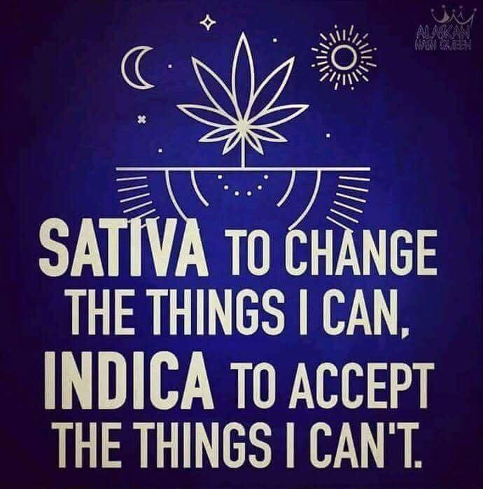 Indica vs Sativa Meme