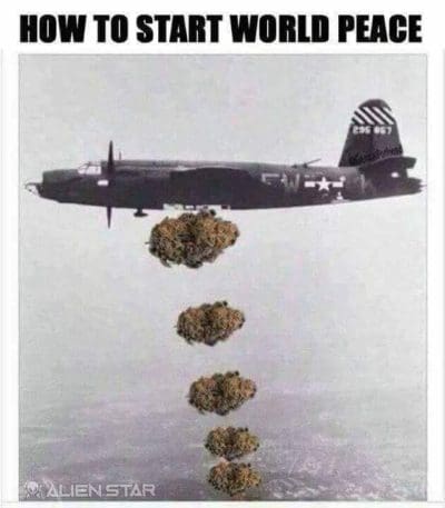 how-to-start-world-peace-weed-meme
