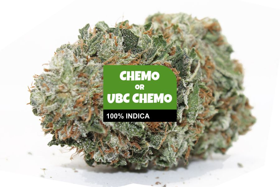 Chemo Cannabis Strain Profile with Ratings & Reviews