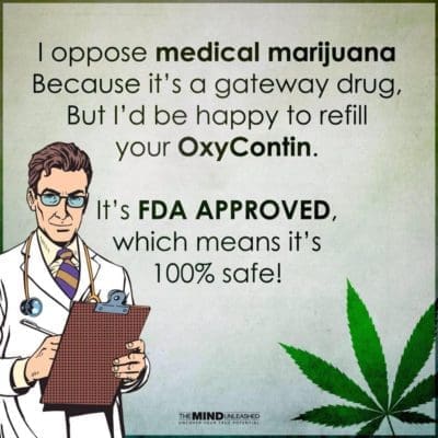 oxycontin-weed-meme-canada