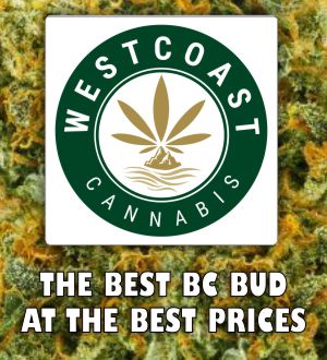 Buy Shake Online west-coast-cannabis-BC-bud