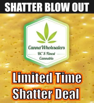cannawholesalers-wholesale-shatter-canada-deal