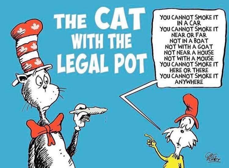 pot-meme-the-cat-always-nose