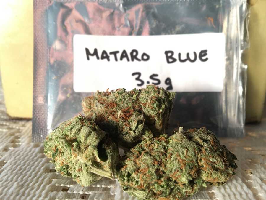 get-kush-unboxing-review-cannabis-flowers-mataro-blue