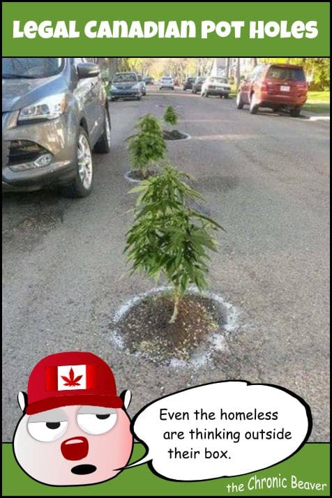 weed-comic-meme-canadian-legal-pot-holes