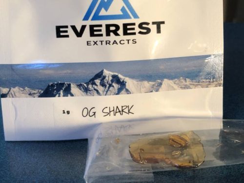 speed-greens-shatter-review-og-shark-strain