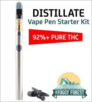 The-Foggy-Forest-Distillate-Vape-Pen-Starter-Kit