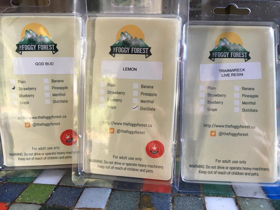 the-foggy-forest-vape-shop-review-cannabis-vape-pen-cartridges-back-side