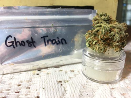 thehighclub-out-of-the-box-ghost-train-strain