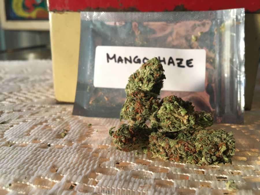 GetKush Mango Haze Strain