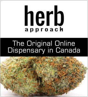 Best Online Dispensary Canada 