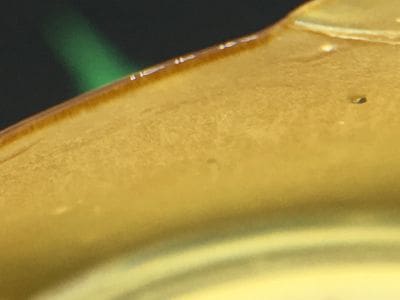 green-society-AAAA-house-blend-shatter-macro