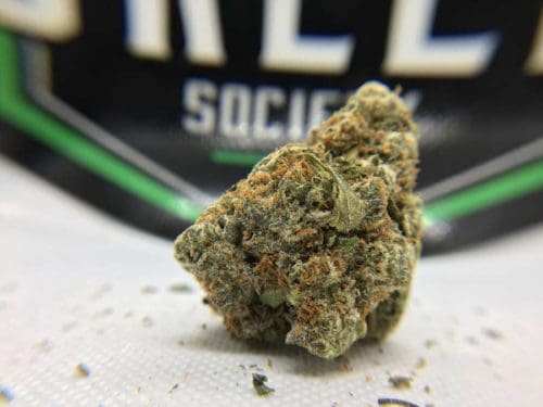 green-society-unboxing-review-blackberry-cream-strain