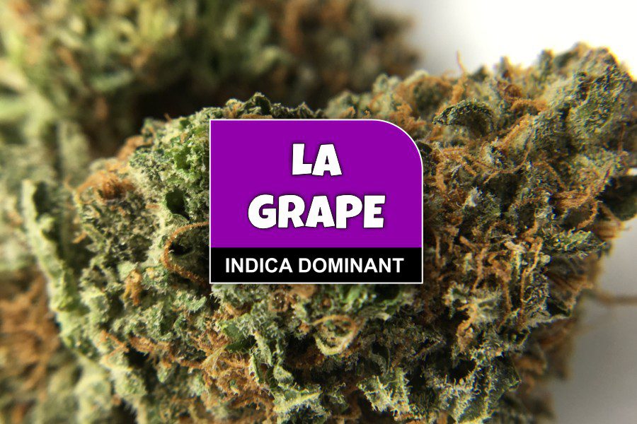 LA Grape Strain Review & Ratings