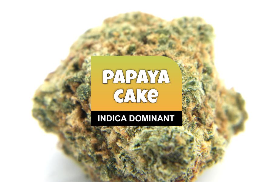 Papaya Cake Strain Review and Ratings