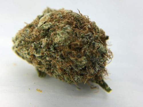 dark-side-of-the-moon-strain-review-image-2