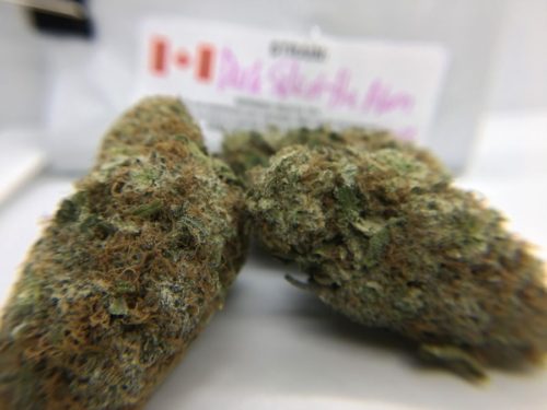 dark-side-of-the-moon-strain-review-image-6