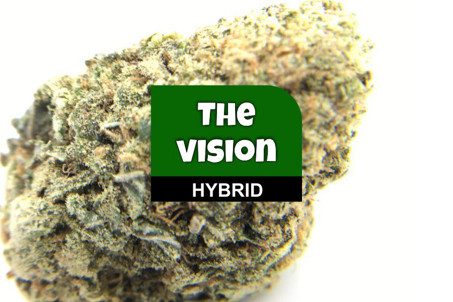 The Vision Strain Review