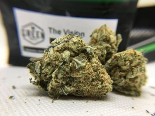 the-vision-strain-review-1