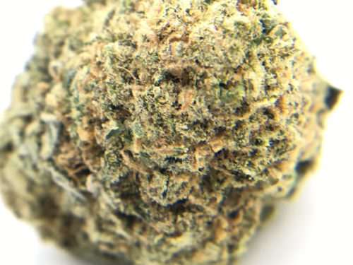 the-vision-strain-review-6