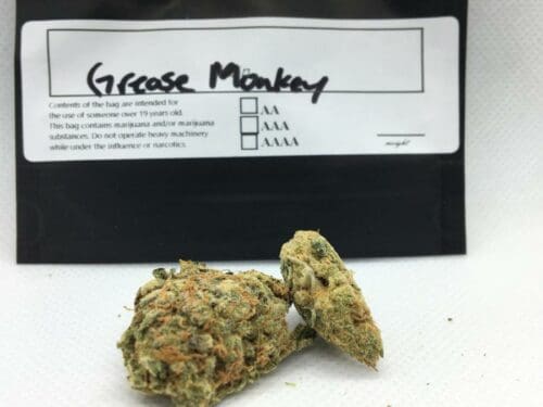 Evergreen-Medicinal-Strain-Review-Grease-Monkey