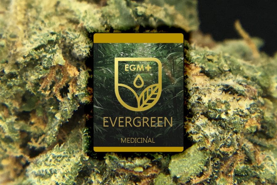 Evergreen Medicinal (EGM) Dispensary Review