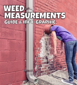 weed-measurements-guide-info-graphic