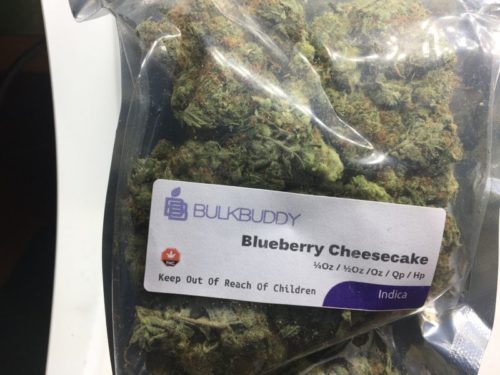 Bulk-Buddy-Review-99-Ounce-Special-Blueberry-Cheesecake