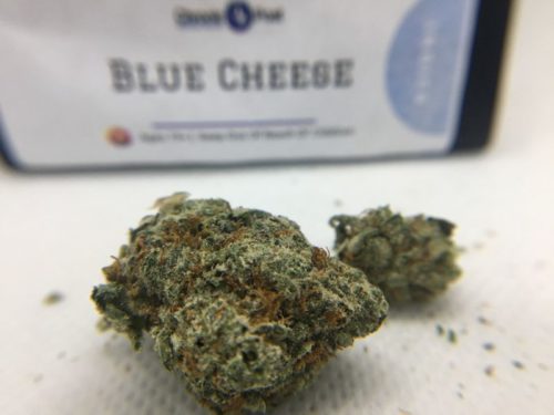 Chronic-Post-Review-Blue-Cheese-Strain