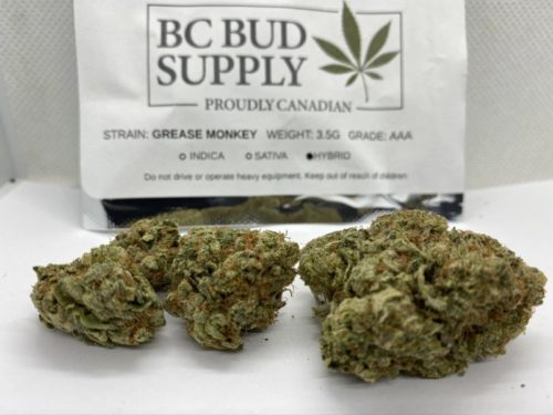 Grease-Monkey-Strain-Review-BC-Bud-Supply