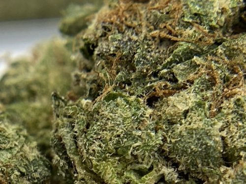 cotton-candy-strain-review-macro