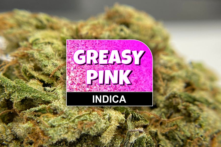 Greasy Pink Strain Review & Info