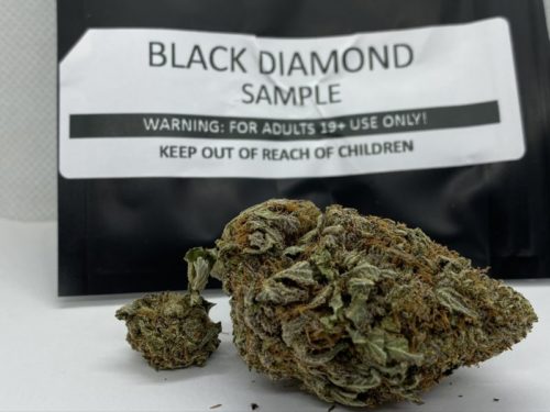 the-canna-society-black-diamond-strain