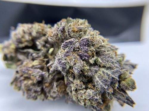 the-canna-society-purple-space-cookies-strain-up-close