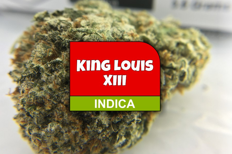 King Louis XIII Strain Review and Ratings