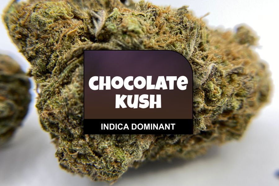 Chocolate Kush Strain Review with Ratings