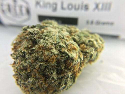 king-louis-xiii-strain-review-beauitful-bud-close