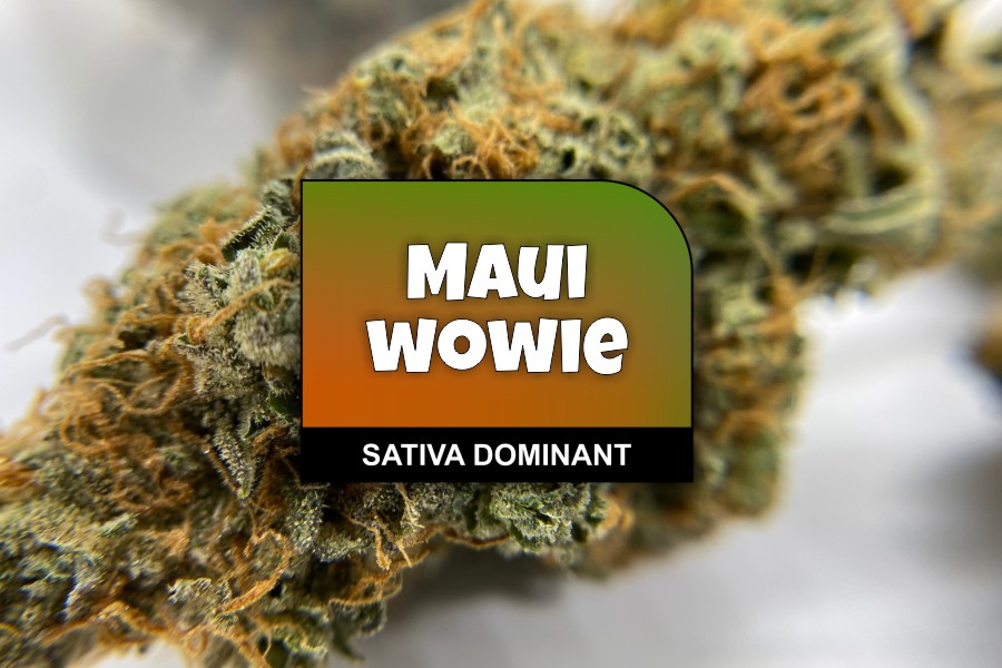 Maui Wowie Strain Review with Ratings