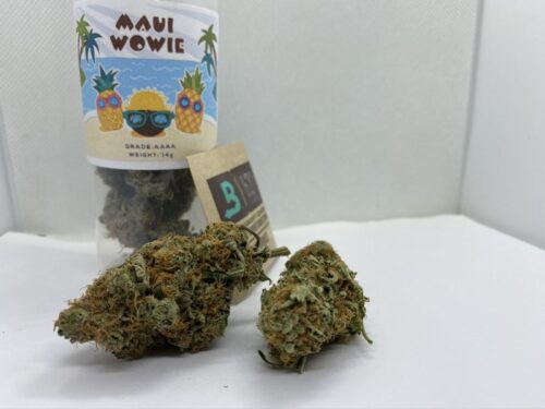 maui-wowie-strain-review-speed-greens