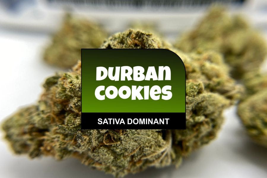 Durban Cookies Strain Review with Ratings