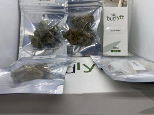 budlyft-review-unboxing-open-contents