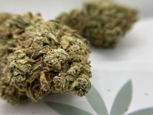 budlyft-strain-review-lemon-cookies-closer