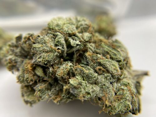 budlyft-strain-review-white-death-closer