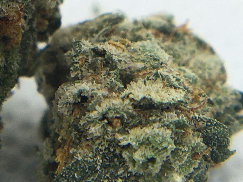 Blue Cheese Strain Review & Ratings