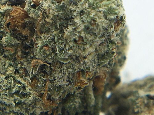 Blue-Cheese-Review-Trichomes-Macro