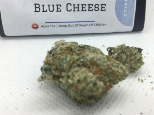 Blue-Cheese-Strain -Review-Ratings