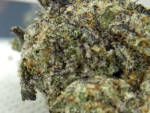 West-Coast-Cannabis-Strain-Review-MAC-Macro-1