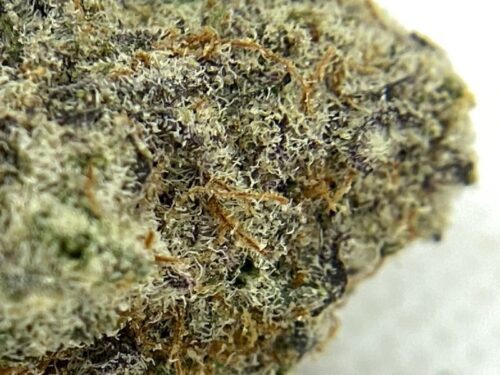 West-Coast-Cannabis-Strain-Review-MAC-Macro-2
