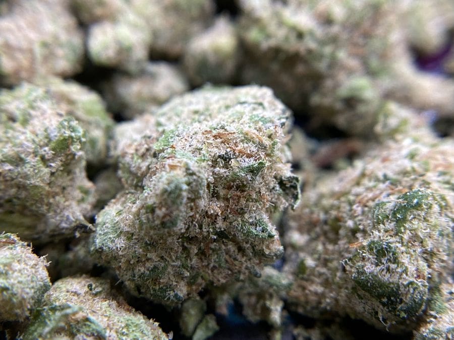 Popcorn Buds Canada: From The Best Online Dispensaries